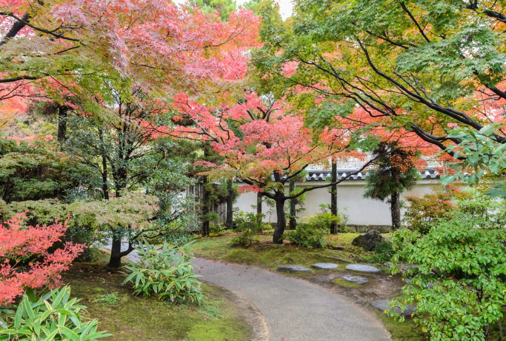 紅葉狩り